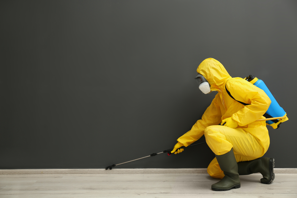 Can Pest Control Help the Value of My Home?